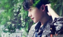 杨洋天涯爆料完整版视频,背后真相与情感纠葛大起底